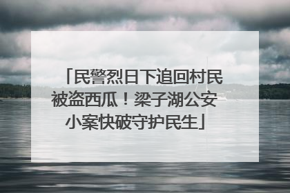 民警烈日下追回村民被盗西瓜！梁子湖公安小案快破守护民生