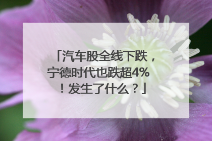 汽车股全线下跌，宁德时代也跌超4%！发生了什么？