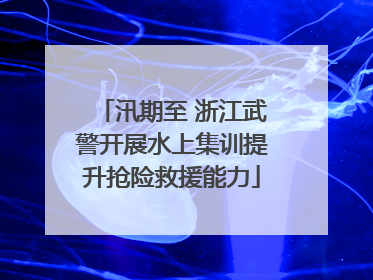 汛期至 浙江武警开展水上集训提升抢险救援能力