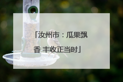 汝州市：瓜果飘香 丰收正当时