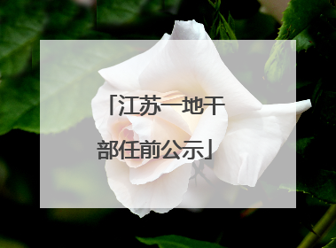 江苏一地干部任前公示