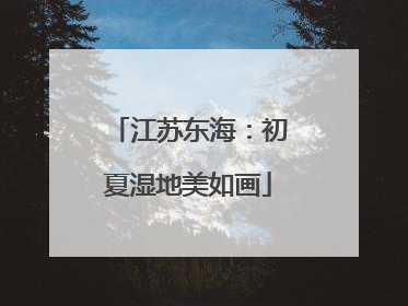 江苏东海：初夏湿地美如画