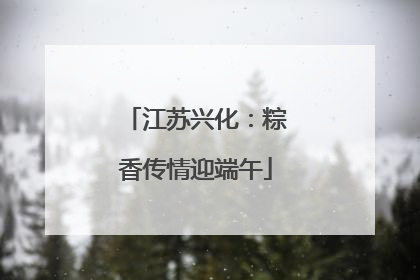 江苏兴化：粽香传情迎端午