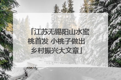 江苏无锡阳山水蜜桃首发 小桃子做出乡村振兴大文章