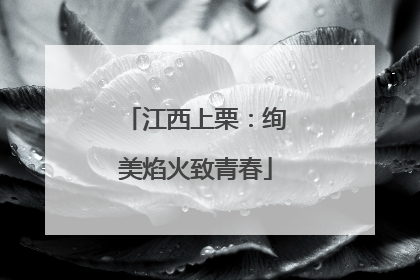 江西上栗：绚美焰火致青春