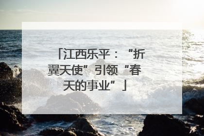 江西乐平：“折翼天使”引领“春天的事业”