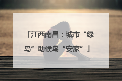 江西南昌：城市“绿岛”助候鸟“安家”