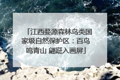 江西婺源森林鸟类国家级自然保护区：百鸟鸣青山 翩跹入画屏