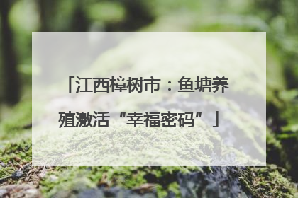 江西樟树市：鱼塘养殖激活“幸福密码”