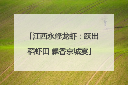 江西永修龙虾：跃出稻虾田 飘香京城宴