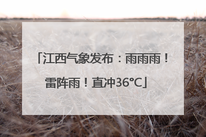 江西气象发布：雨雨雨！雷阵雨！直冲36°C