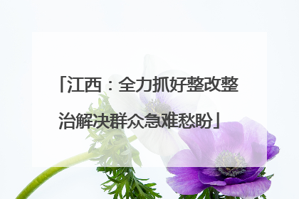 江西：全力抓好整改整治解决群众急难愁盼