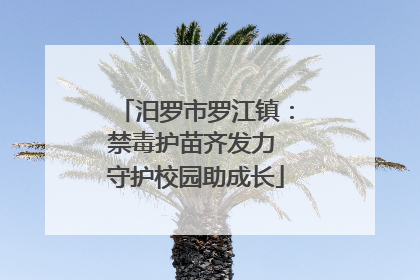 汨罗市罗江镇：禁毒护苗齐发力 守护校园助成长