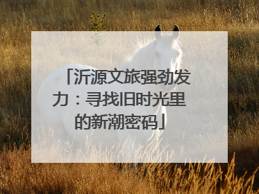 沂源文旅强劲发力：寻找旧时光里的新潮密码
