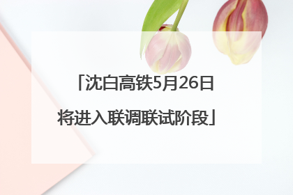 沈白高铁5月26日将进入联调联试阶段