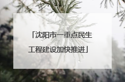 沈阳市一重点民生工程建设加快推进