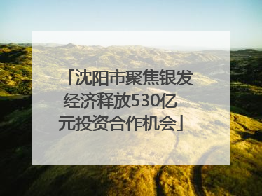 沈阳市聚焦银发经济释放530亿元投资合作机会