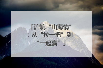 沪皖“山海情”：从“拉一把”到“一起赢”