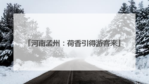 河南孟州：荷香引得游客来