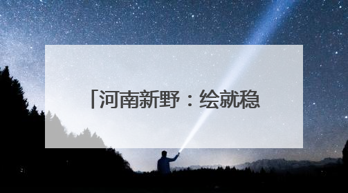 河南新野：绘就稳产丰收“金画卷”