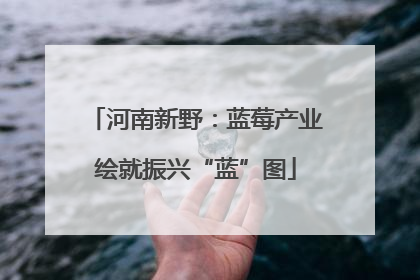 河南新野：蓝莓产业绘就振兴“蓝”图