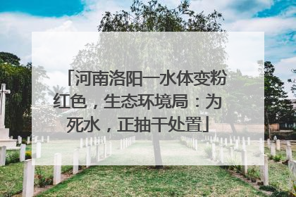 河南洛阳一水体变粉红色，生态环境局：为死水，正抽干处置