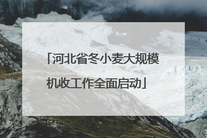 河北省冬小麦大规模机收工作全面启动
