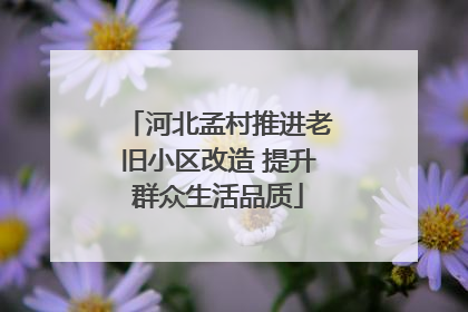 河北孟村推进老旧小区改造 提升群众生活品质