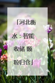 河北衡水：智能收储 颗粒归仓