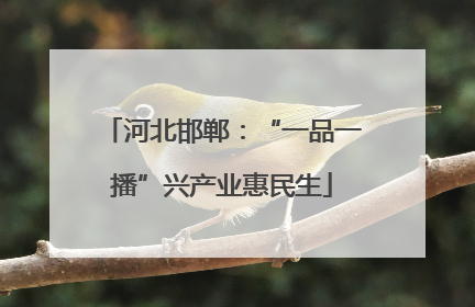 河北邯郸：“一品一播”兴产业惠民生