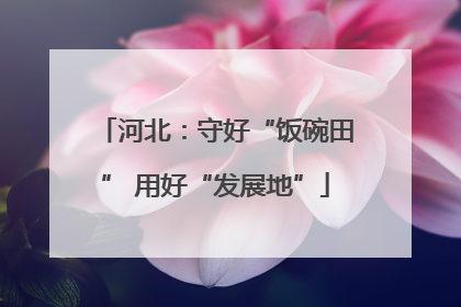 河北：守好“饭碗田” 用好“发展地”