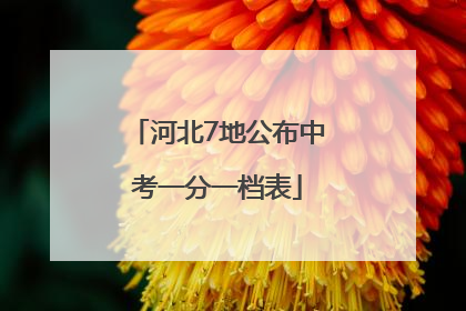 河北7地公布中考一分一档表