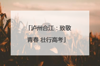 泸州合江：致敬青春 壮行高考