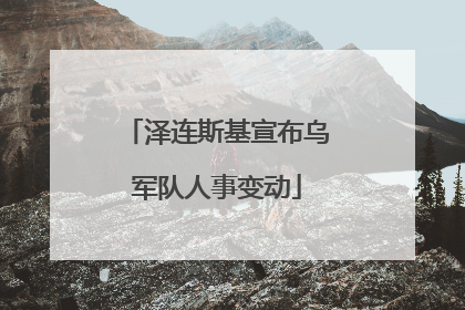 泽连斯基宣布乌军队人事变动