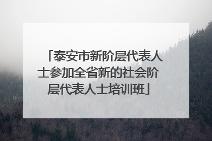 泰安市新阶层代表人士参加全省新的社会阶层代表人士培训班