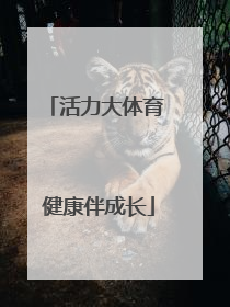 活力大体育 健康伴成长