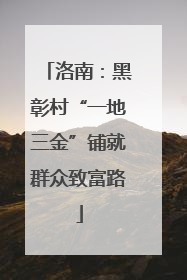 洛南：黑彰村“一地三金”铺就群众致富路