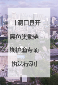 洞口县开展鱼类繁殖期护渔专项执法行动