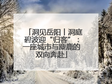 洞见岳阳丨洞庭碧波迎“归客”：一座城市与麋鹿的双向奔赴