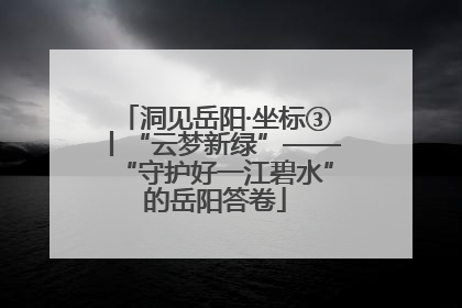 洞见岳阳·坐标③丨“云梦新绿”——“守护好一江碧水”的岳阳答卷