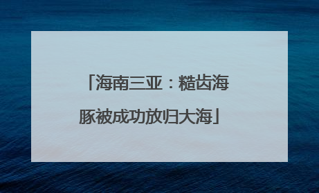 海南三亚：糙齿海豚被成功放归大海