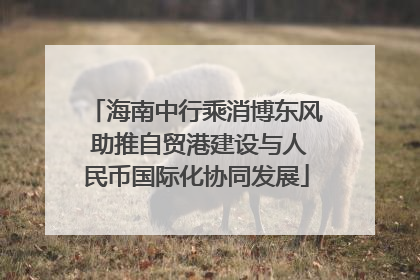 海南中行乘消博东风 助推自贸港建设与人民币国际化协同发展