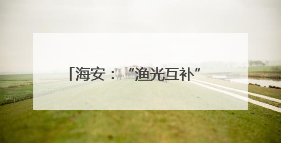 海安：“渔光互补” 绘就乡村振兴新图景