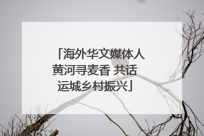 海外华文媒体人黄河寻麦香 共话运城乡村振兴
