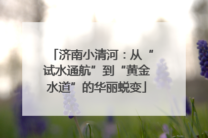 济南小清河：从“试水通航”到“黄金水道”的华丽蜕变