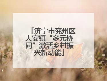 济宁市兖州区大安镇“多元协同”激活乡村振兴新动能