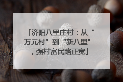 济阳八里庄村：从“万元村”到“新八里”，强村富民路正宽