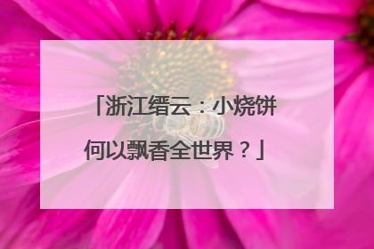 浙江缙云：小烧饼何以飘香全世界？