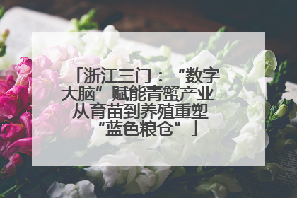 浙江三门：“数字大脑”赋能青蟹产业 从育苗到养殖重塑“蓝色粮仓”
