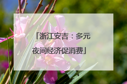 浙江安吉：多元夜间经济促消费